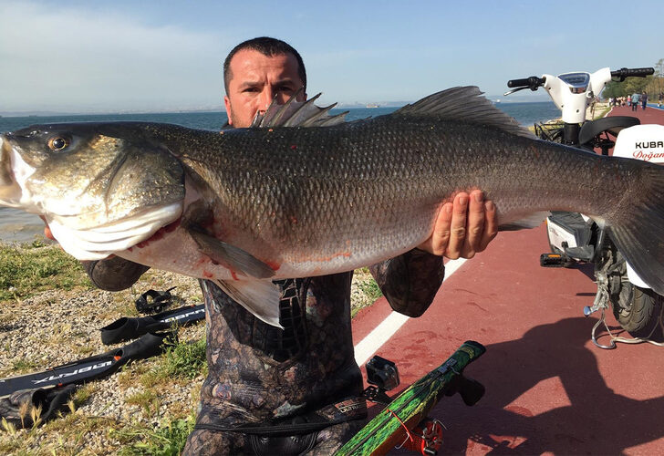 Türk dalış sporcusu dünya rekoru kırdı!