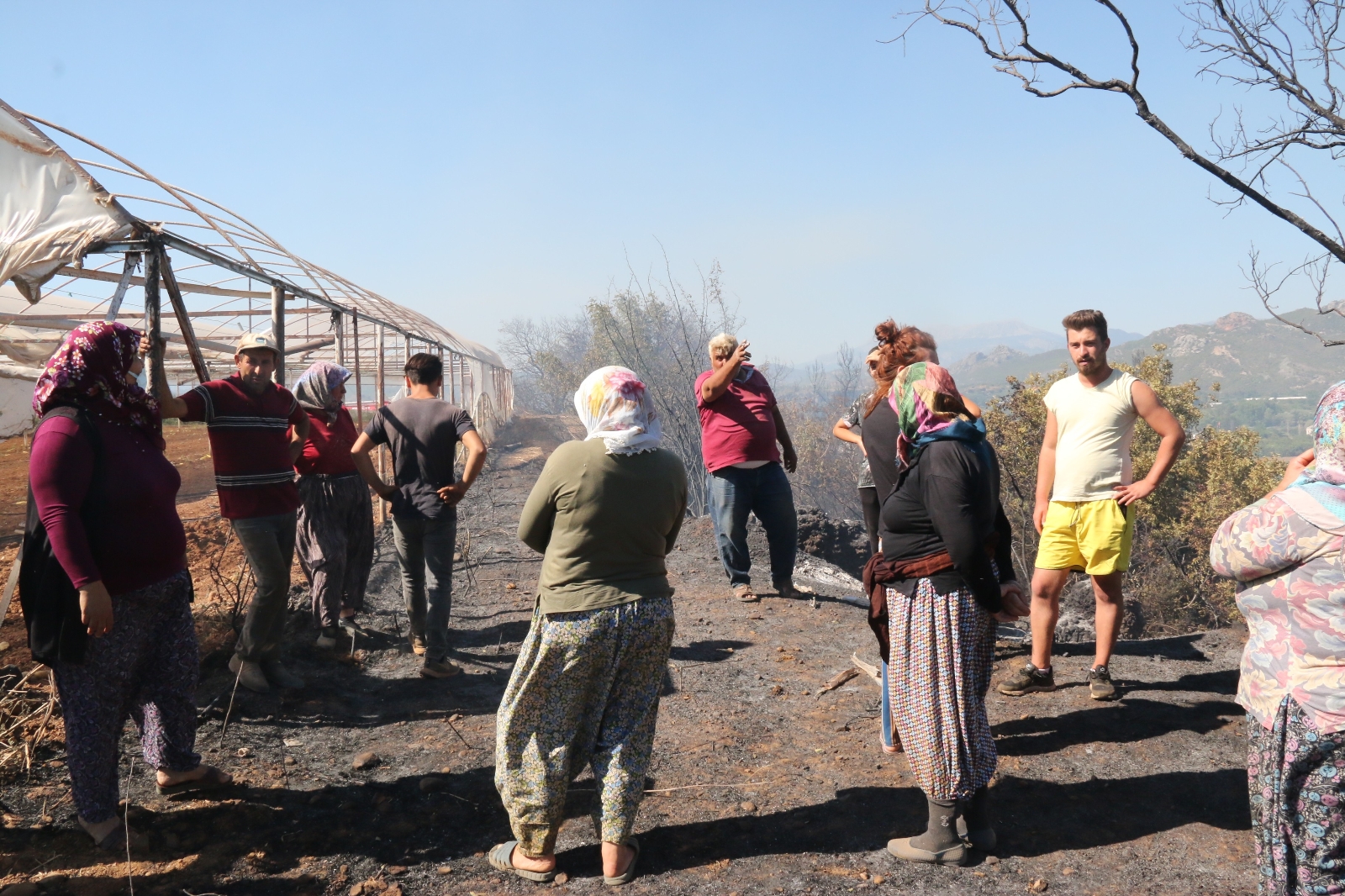 Seraların Naylon Örtüleri Ve Zeytin Ağaçları Küle Döndü
