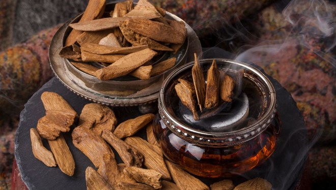 'Udi Hindi' yağı nedir?