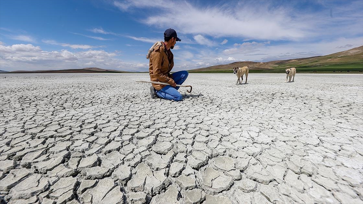 Van'daki Akgöl'ün Kuruması Kuşları Göçe Zorladı