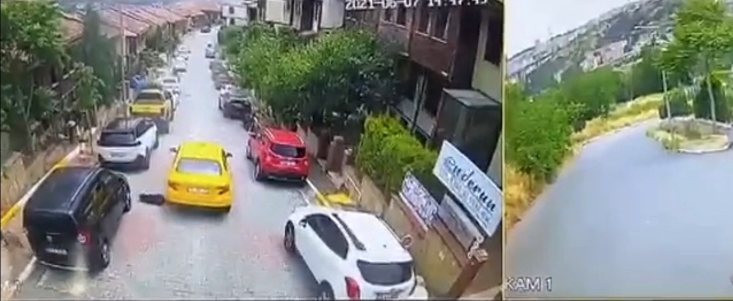 İstanbul’da feci olay: Taksici köpeği ezip kaçtı