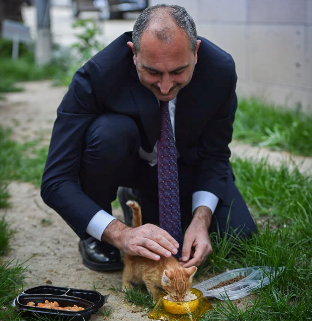 Bakan Gül’den hayvanları koruyacak yeni yasal düzenleme mesajı
