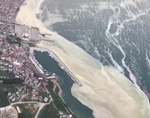 Marmara’da görülen deniz salyasına çare: ’Çatı Operasyonu’