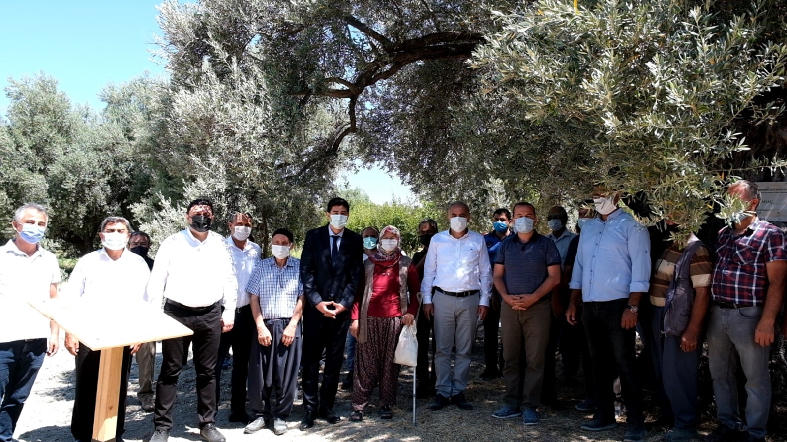 1300 Yıllık Anıt Ağacına Sahip Mut’a 3 Anıt Ağaç Daha Tescillendi