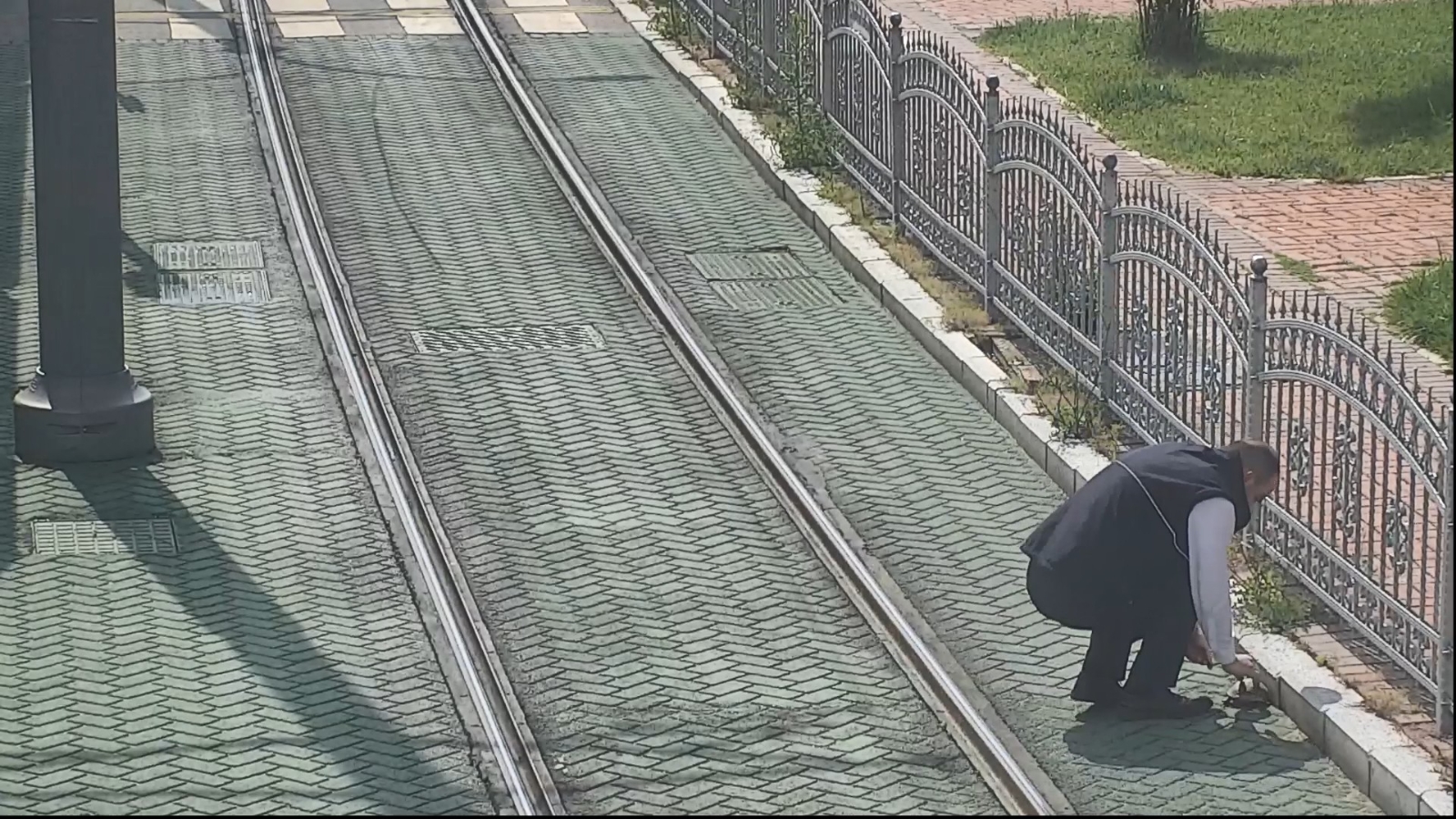 Tramvay yolunda mahsur kalan kaplumbağanın yardımına vatman koştu