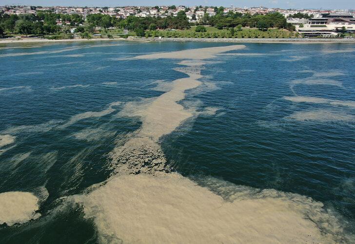 Bu kez Bakırköy sahiline vurdu!