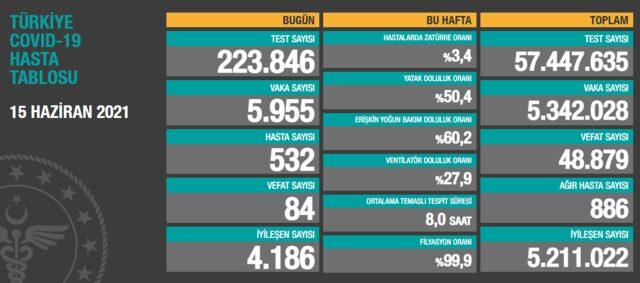 15 Haziran koronavirüs tablosu açıklandı