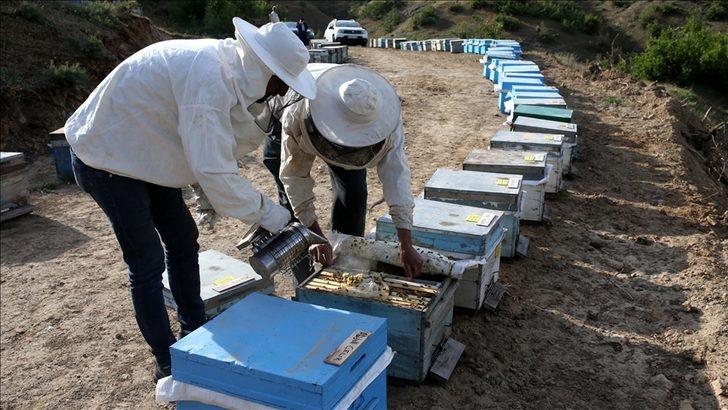 Yeni uygulama: Hobi kovanı!