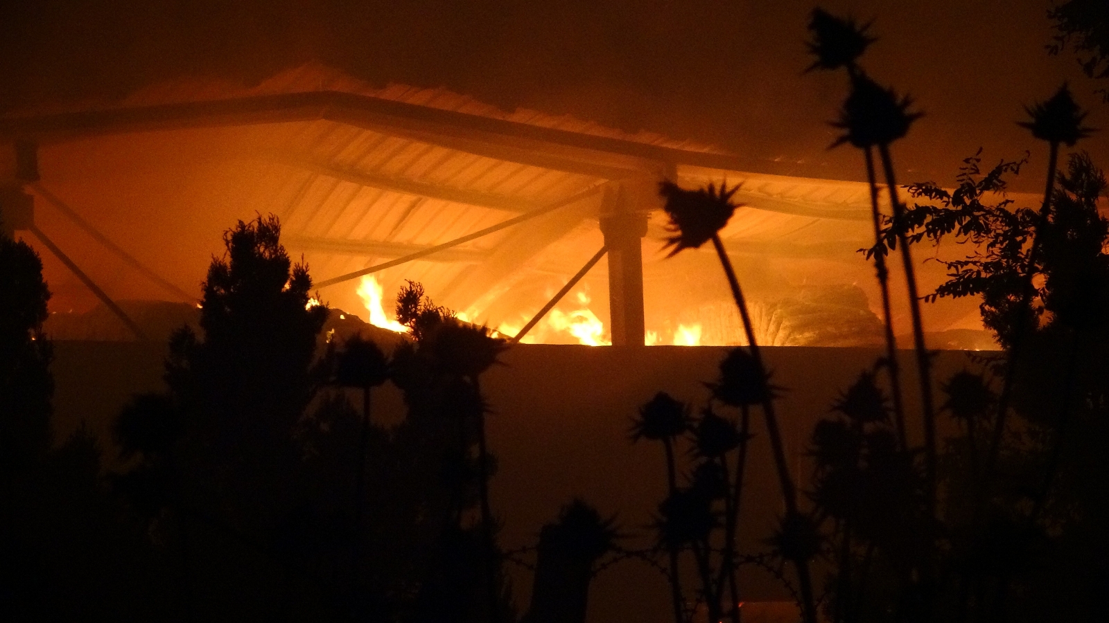 Kırklareli’nde Çiftlik Yangını