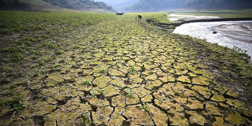Her Yıl Çölleşme Ve Kuraklık Nedeniyle 12 Milyon Hektar Arazi Kaybediliyor