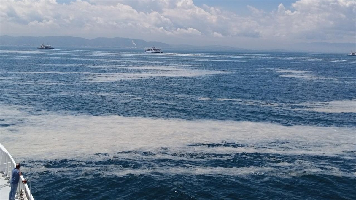 Müsilaj, Tatil Beldelerinde Gayrimenkul Piyasasını Olumsuz Yönde Etkiliyor