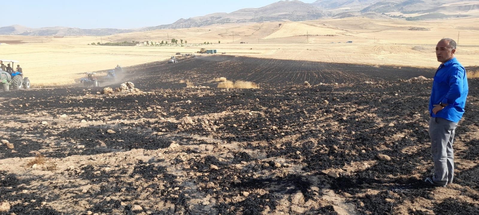 50 Dönümlük Buğday Ekili Tarla Kül Oldu