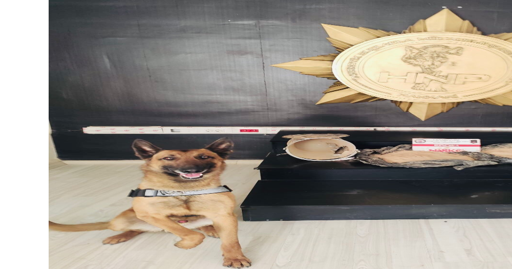 Kargo Aracında 10 Kilo Eroin Ele Geçirildi