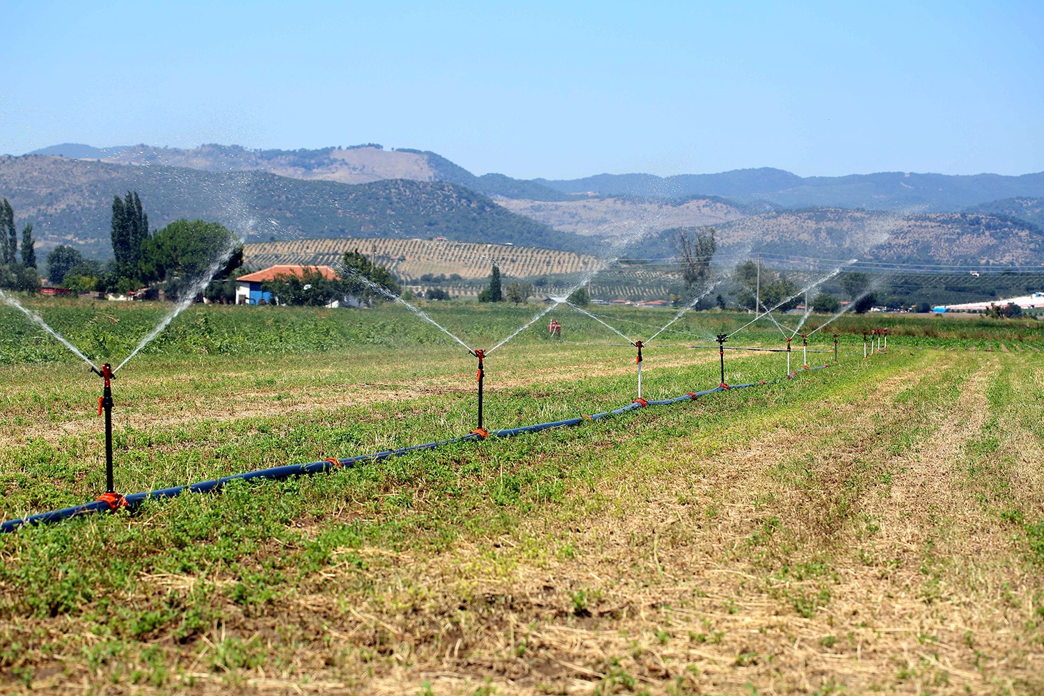 Tarım-GFE Aylık Yüzde 1,71 Arttı