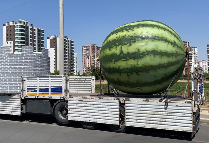 Diyarbakır'ın yeni figürleri sosyal medyanın gündemine oturdu