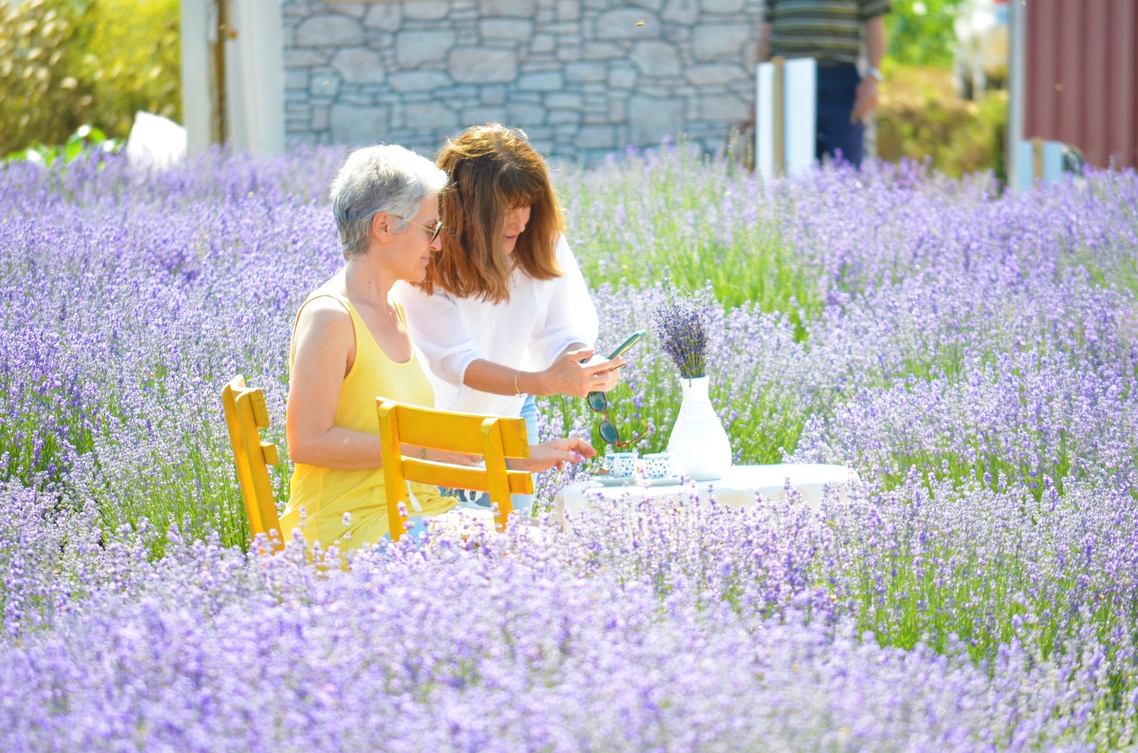 İstanbul’un Stresinden Kaçan Soluğu Burada Alıyor