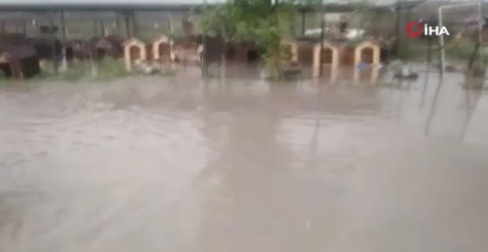 Ankara’da hayvan barınağı sular altında kaldı