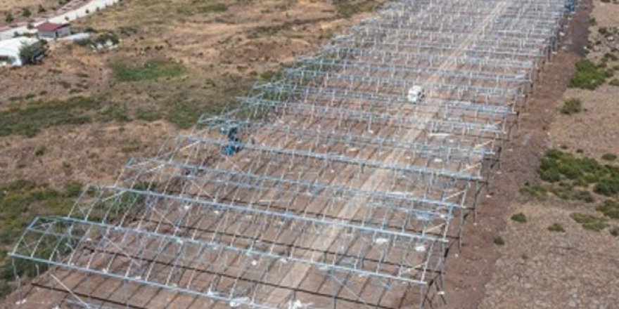 Osmaniye Organize Sanayi Bölgesi'ne Muz Serası