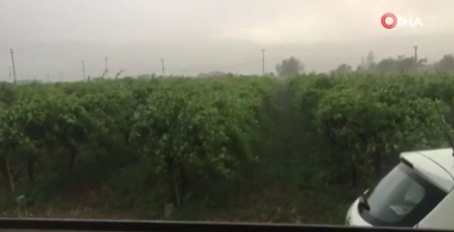 Fırtına Bağları Yan Yatırdı, Ağaçları Devirdi