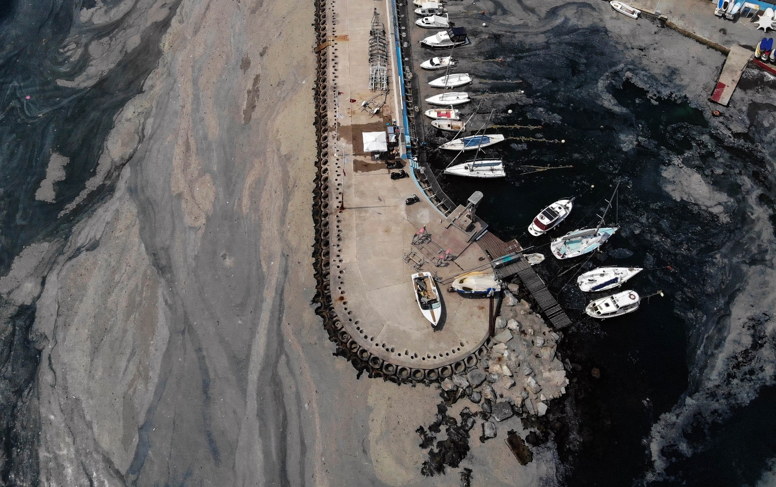 İstanbul’da Deniz Salyası İstilası Devam Ediyor