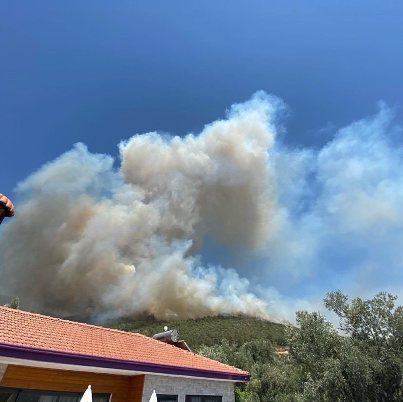 Antalya’nın Kaş ilçesinde orman yangını