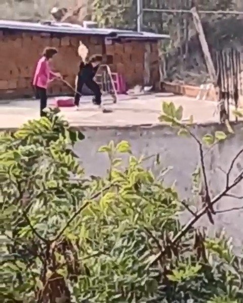 Kediye Yapılan İşkence “Pes” Dedirtti