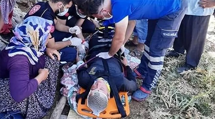 İnternet çekmediği için çıktığı ağaçtan düştü