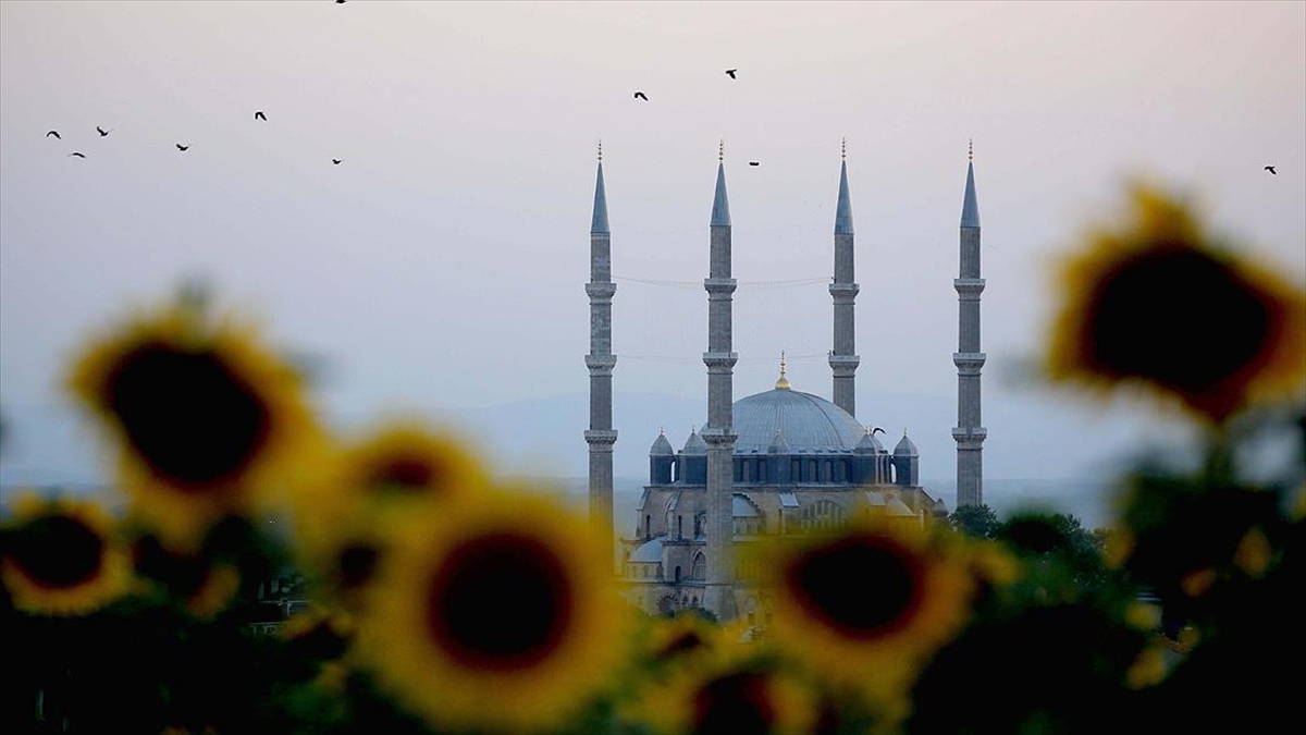Ayçiçeklerinin Oluşturduğu Sarı Şölen Edirne'yi Dev Bir Yağlı Boya Tablosuna Dönüştürdü