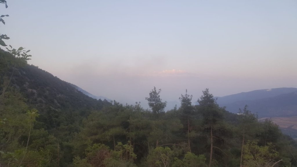 Bilecik’te Orman Yangını Yeniden Alevlendi