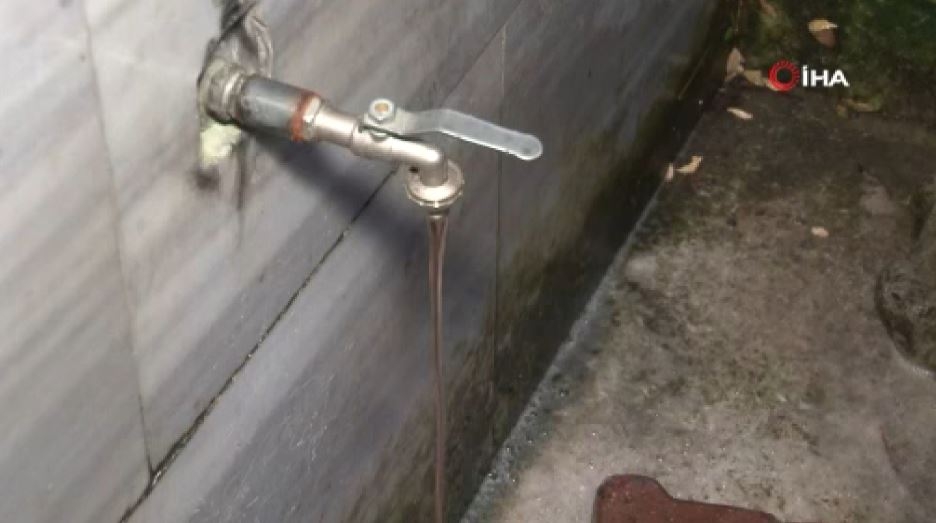 İstanbul’da Kaçak Kurban Kesimi Çeşmeden Kan Akıttı