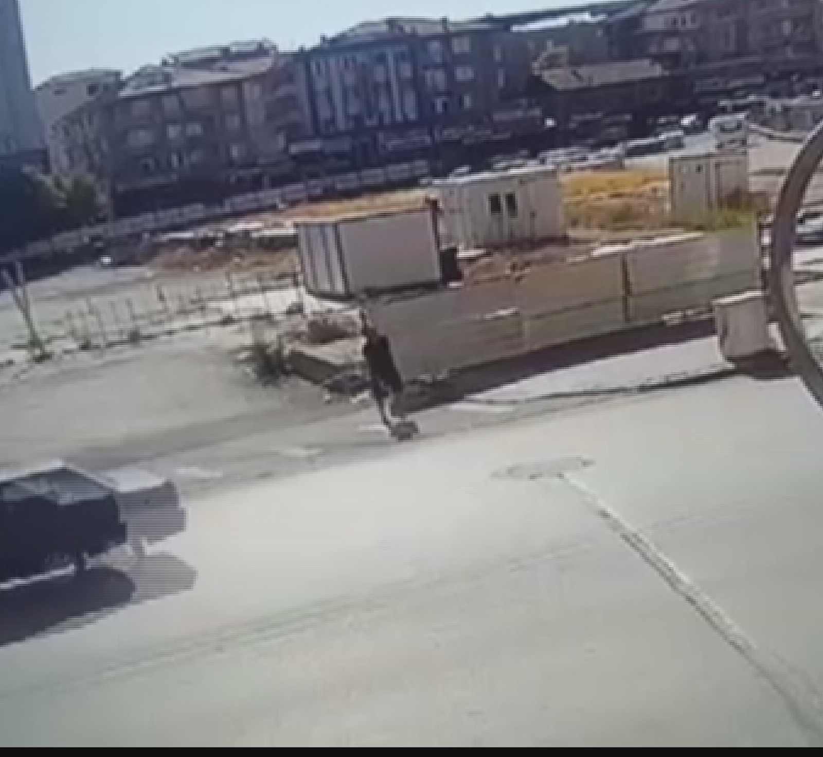 Pişkinliğin Böylesi