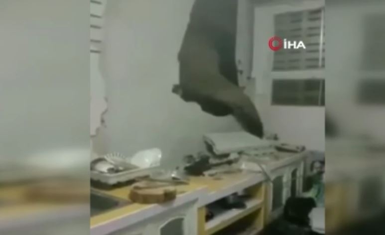 Tayland’da karnı acıkan fil, 1 ay sonra ikinci kez aynı evin mutfak duvarını kırdı