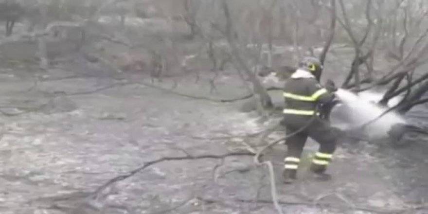 Sardunya Adası’ndaki yangın iki noktada devam ediyor