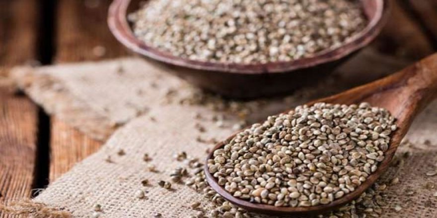 Talep artınca kilosu 30 liradan 1000 liraya çıktı