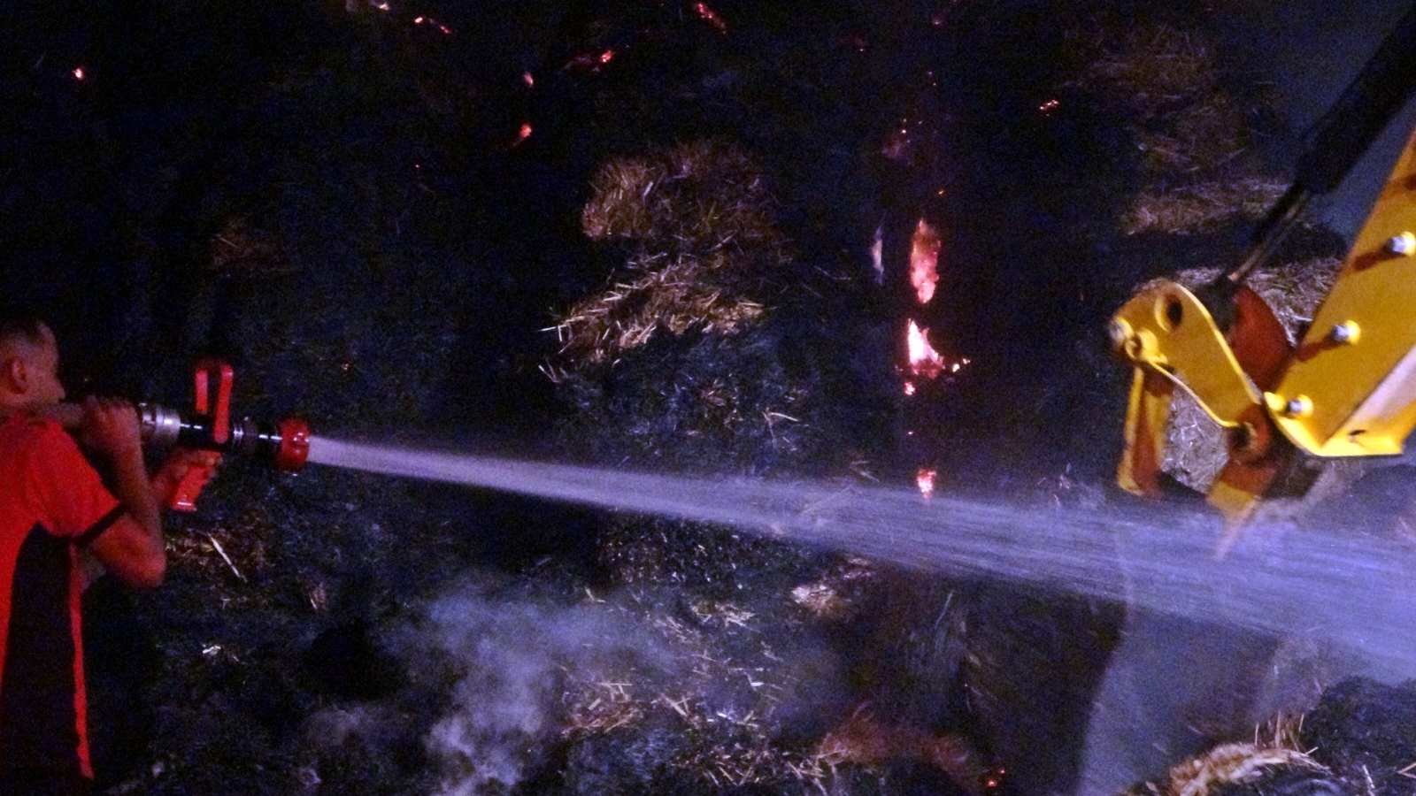 Manavgat Yangınında İçleri Yakan Görüntü