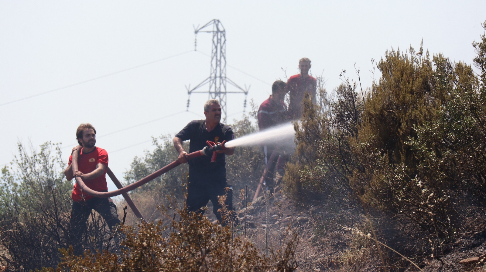 Kocaeli’deki orman yangını 1 buçuk saatte kontrol altına alındı