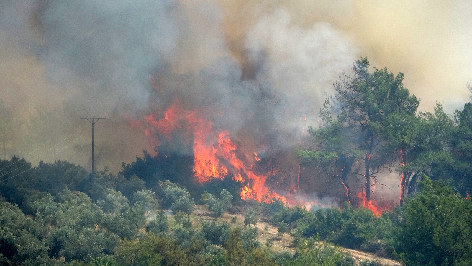 Osmaniye’de Çıkan Orman Yangını Devam Ediyor