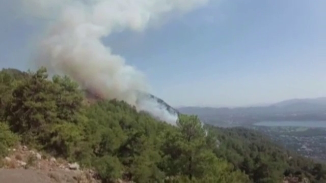 Köyceğiz Ormanları Da Yanmaya Başladı