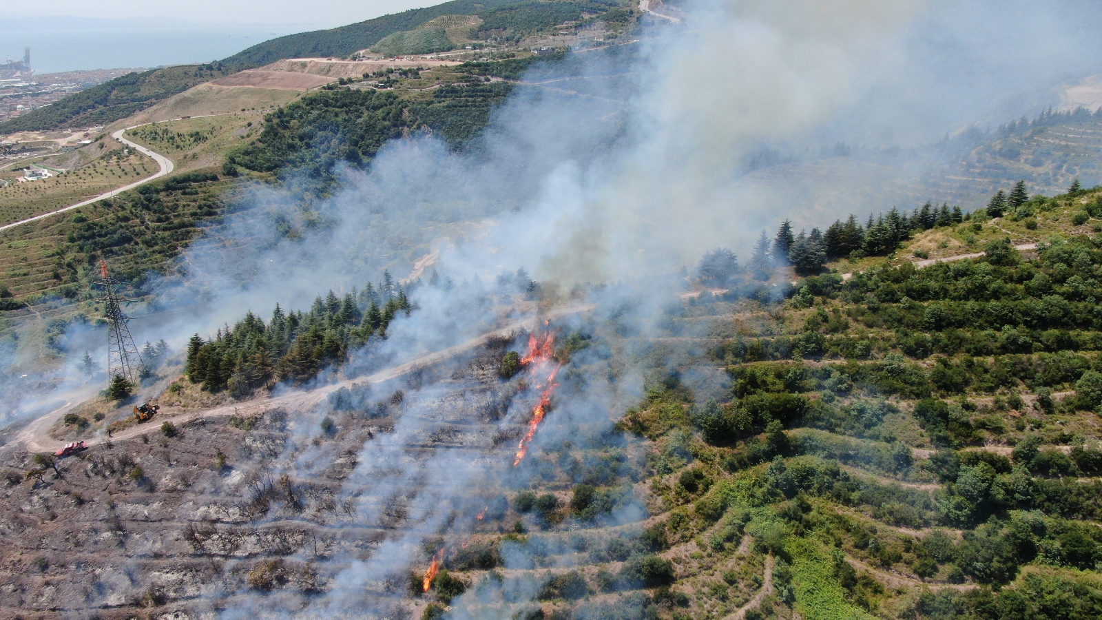 Çevreyi Temizlemek İsterken 20 Dönümlük Ormanı Yaktı