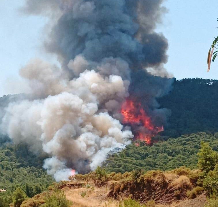 Marmaris’teki Orman Yangınının İlk Başladığı Ana Ait Görüntüler Ortaya Çıktı