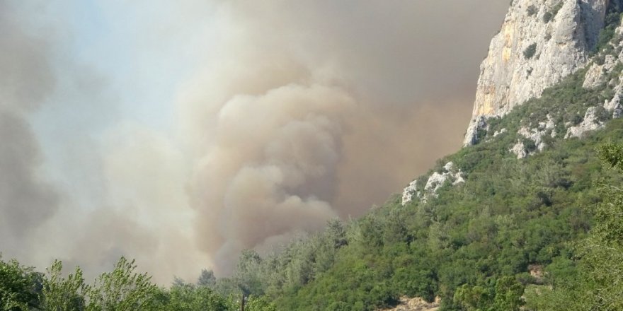 Osmaniye’deki orman yangını kısmen kontrol altına alındı