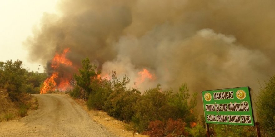 Pakdemirli, yangınlardaki son durumu açıkladı
