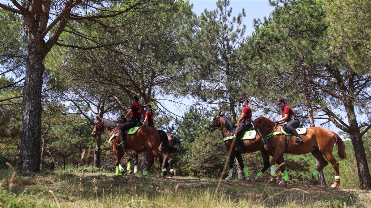 İstanbul Valiliği: Ormanlara Girmek Yasaklanmıştır