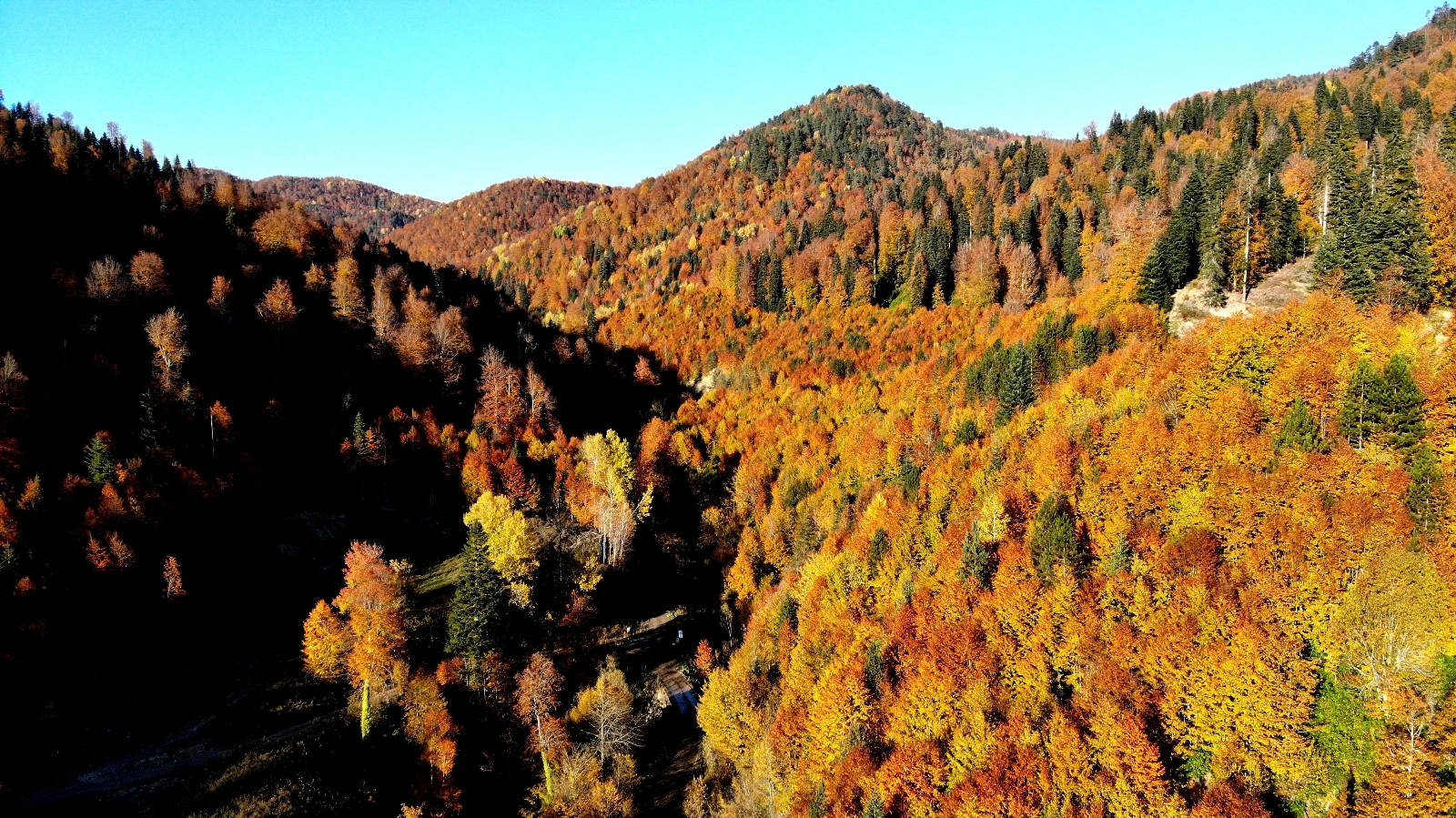 Türkiye’nin En Büyük Blok Ormanlarına Girişler Yasaklandı