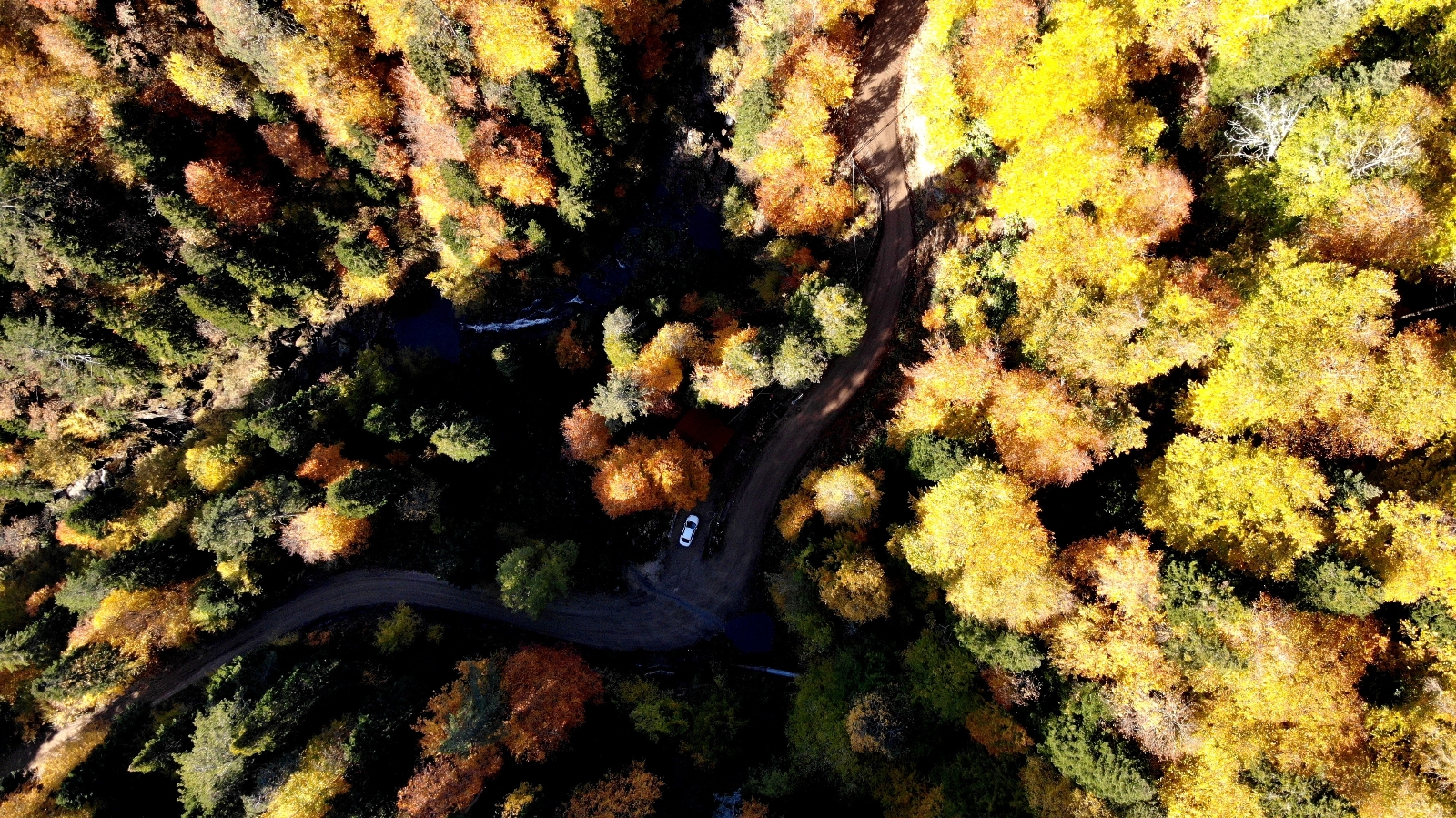 Antalya’da Ormanlık Alanlara Girişler Yasaklandı