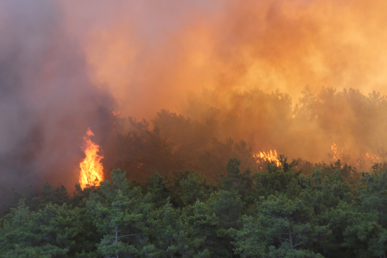 Manavgat’ta Orman Yangını Devam Ediyor, Metrelerce Yükselen Alevler Böyle Görüntülendi