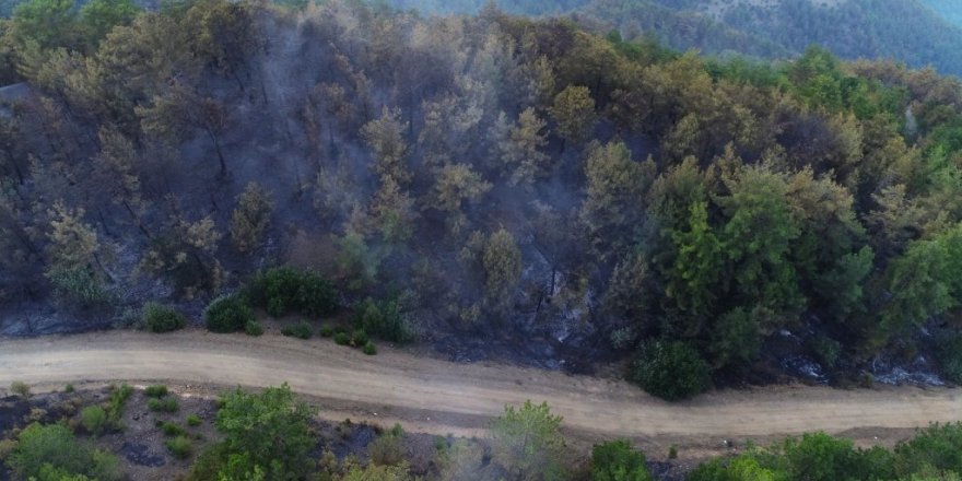 Kozan’daki yangın kontrol altına alındı