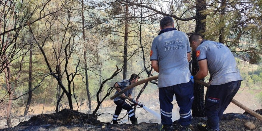 Hatay’da ormanlık alanın yakınında çıkan bahçe yangını kontrol altına alındı
