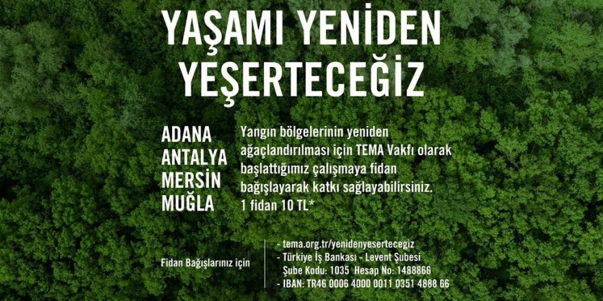 Maltepe Belediyesi’nden 2 bin 155 fidan