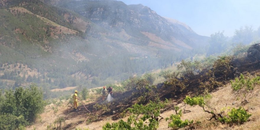 Pozantı’daki orman yangını söndürüldü